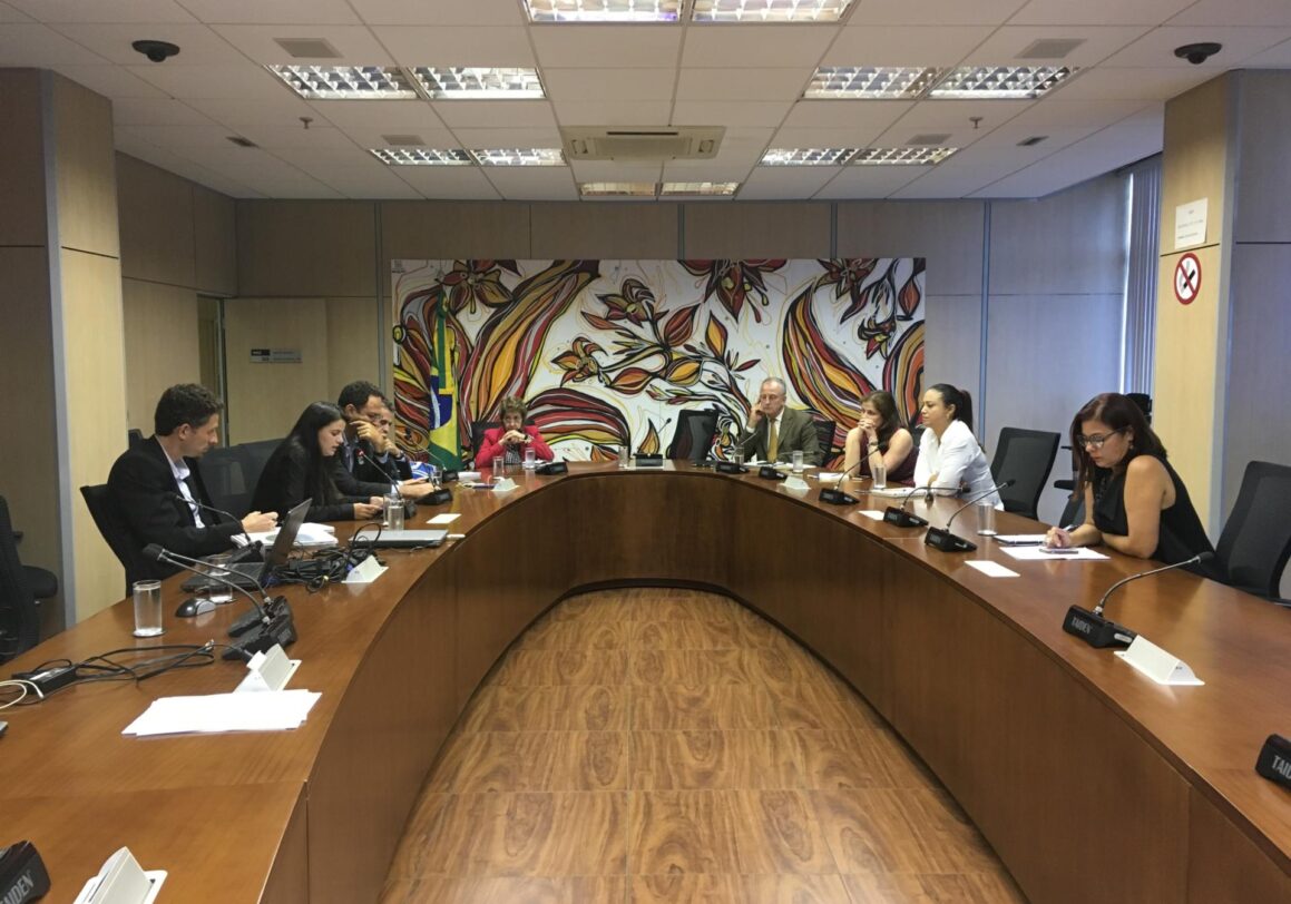 Advocacy Meeting Between Community of Practice and the Ministry of Environment in Brazil