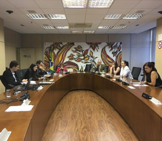 Advocacy Meeting Between Community of Practice and the Ministry of Environment in Brazil