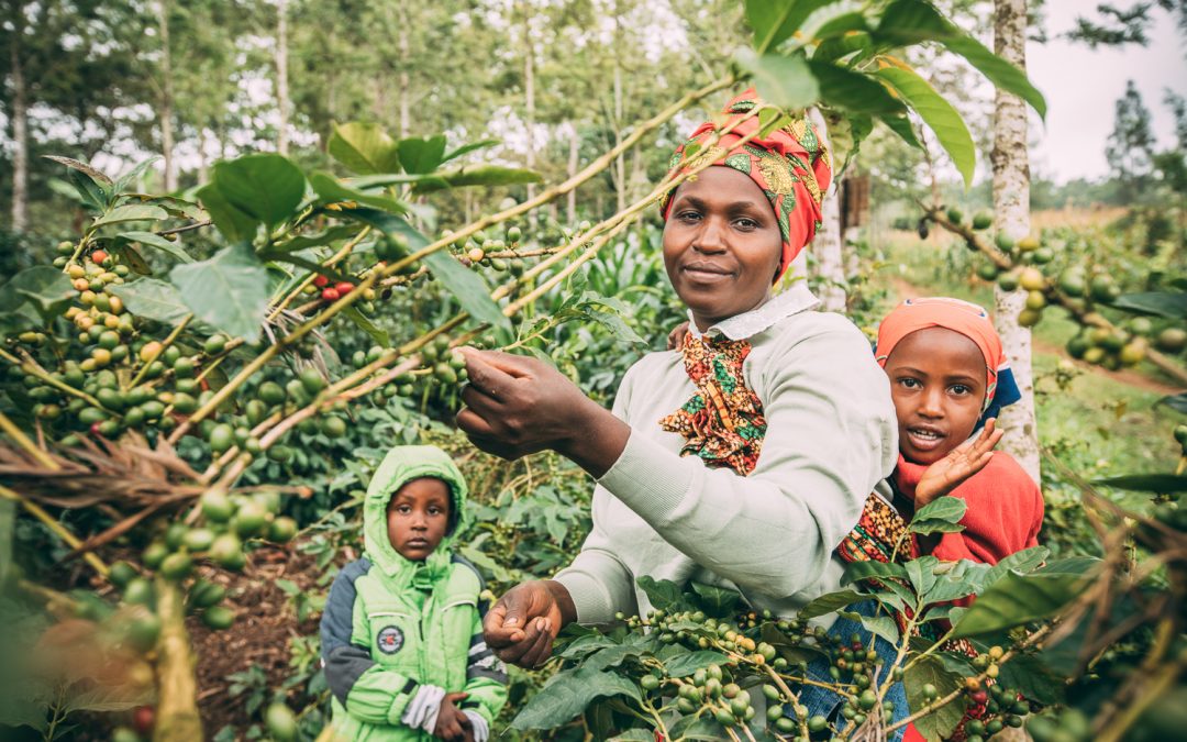 Promoting the c&c gender component in Tanzania