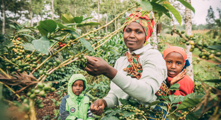 Promoting the c&c gender component in Tanzania Thumbnail
