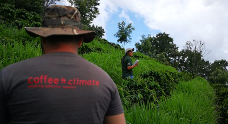 Brewing up Climate Resilience in the Coffee Sector Thumbnail