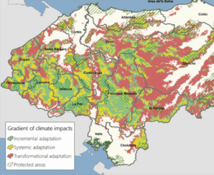 HD Map
