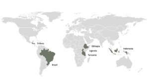 c&c regions in the world