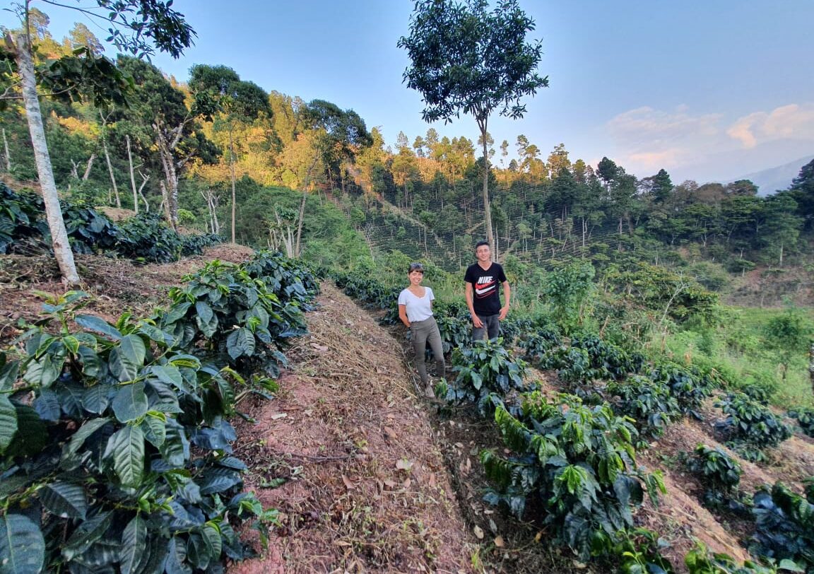 Innovating Change in Huehuetenango: How Producers are Adapting
