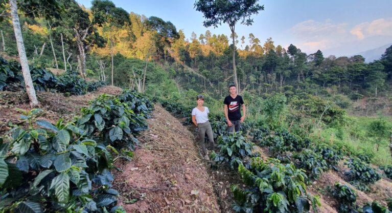 Innovating Change in Huehuetenango: How Producers are Adapting Thumbnail