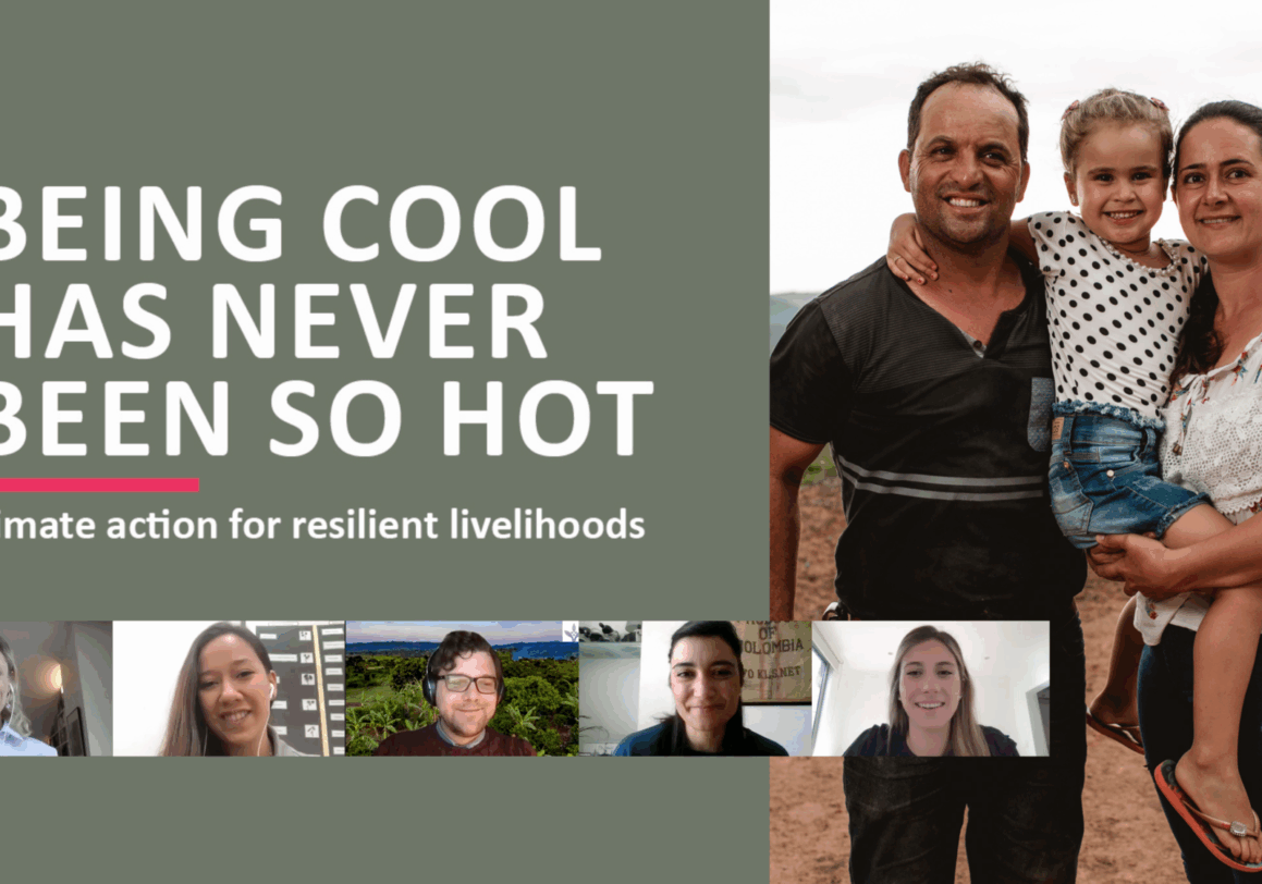 Webinar Recording is Now Online!
