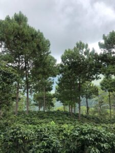 Huehuetenango 6