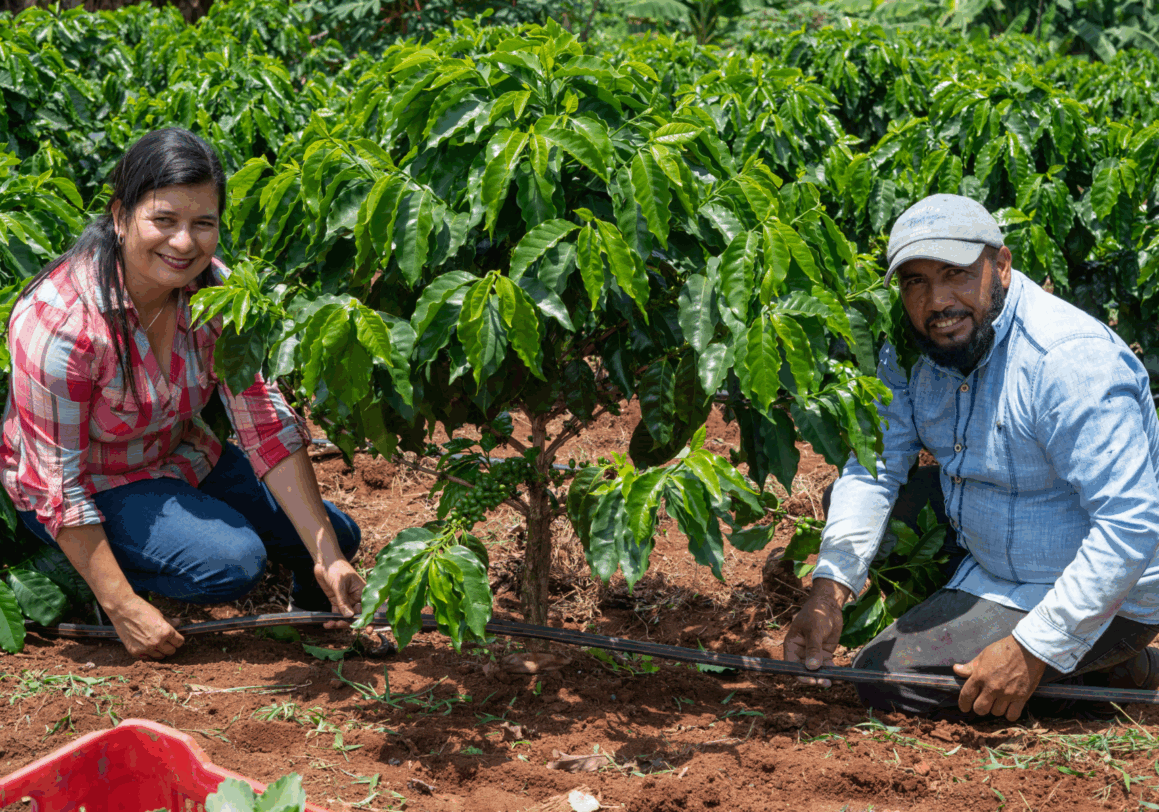 The coffee&climate toolbox is now part of Fairtrade’s Coffee Standard
