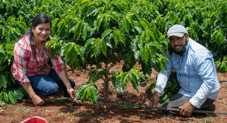 The coffee&climate toolbox is now part of Fairtrade’s Coffee Standard Thumbnail