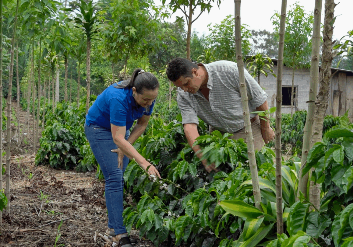 Walter Matter Joins the Initiative for coffee&climate (c&c)