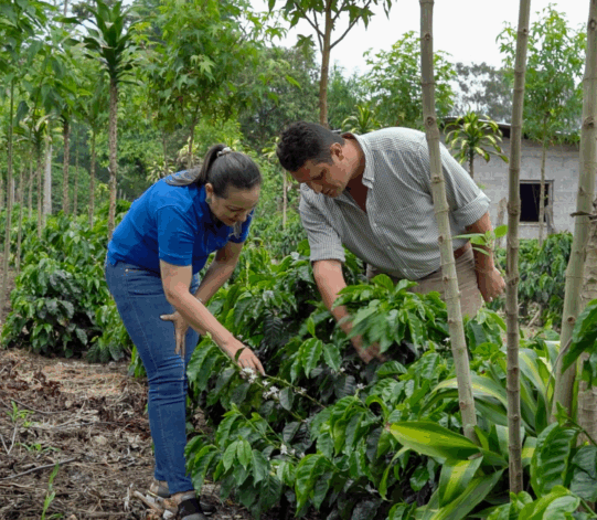 Walter Matter Joins the Initiative for coffee&climate (c&c)
