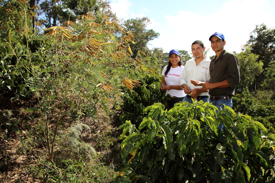 c&c in honduras