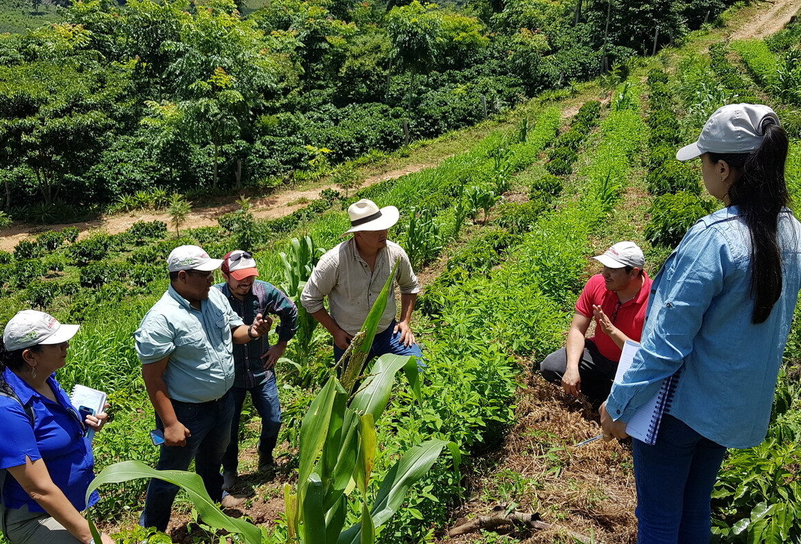 coffee&climate phase III: No more talking – let’s act!