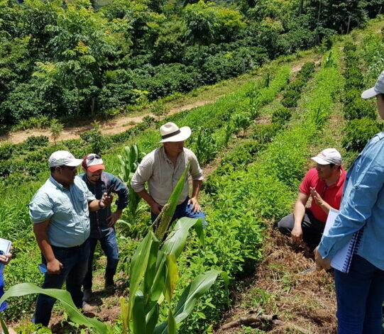 coffee&climate phase III: No more talking – let’s act!