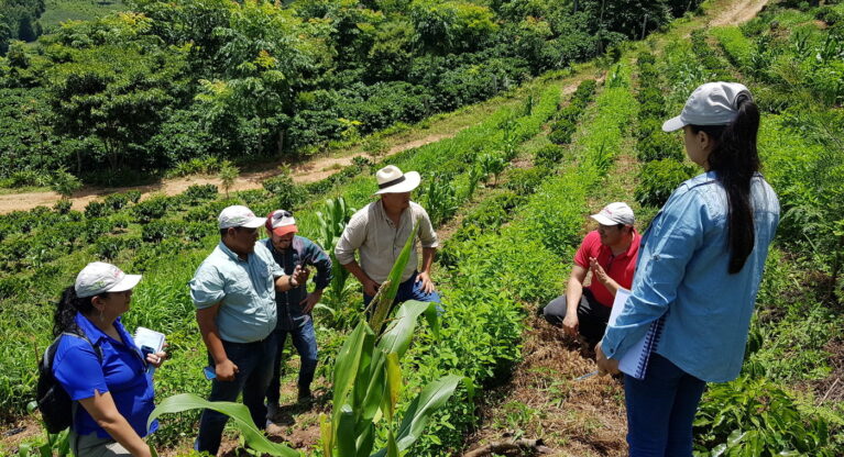 coffee&climate phase III: No more talking – let’s act! Thumbnail