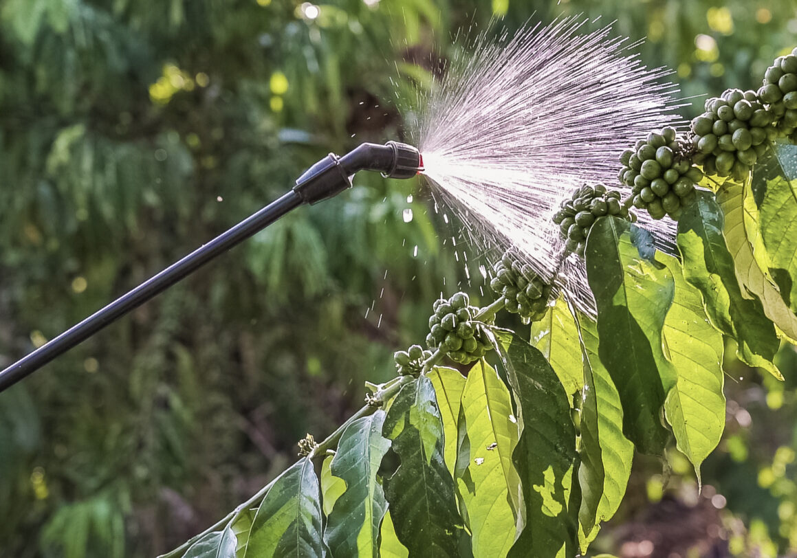 Agrochemicals in coffee production: c&c kicks-off awareness month