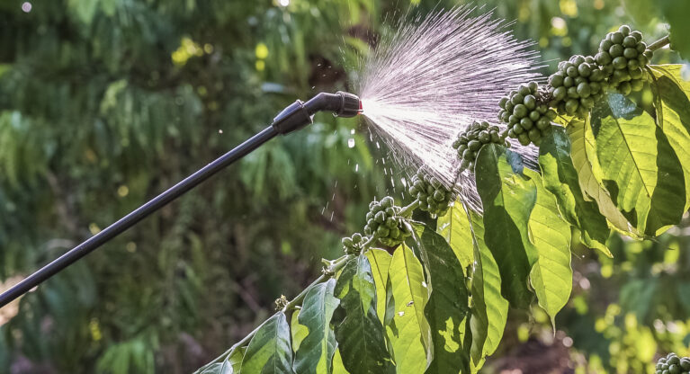 Agrochemicals in coffee production: c&c kicks-off awareness month Thumbnail
