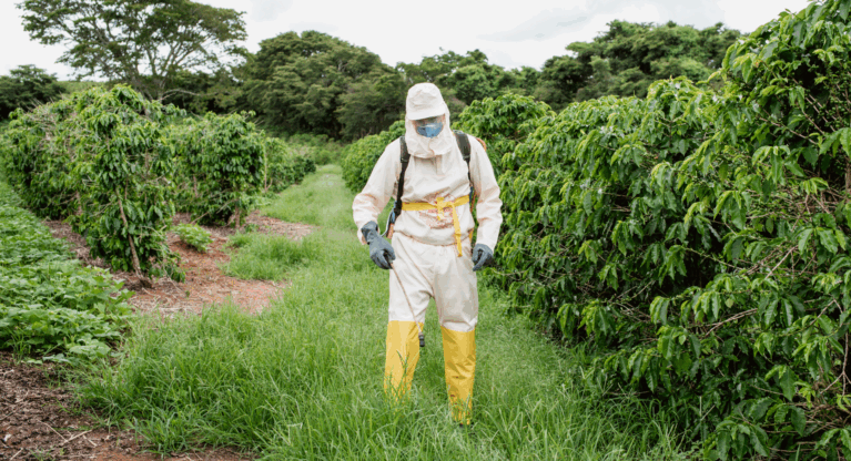 Safe use and handling of agrochemicals in the coffee sector Thumbnail
