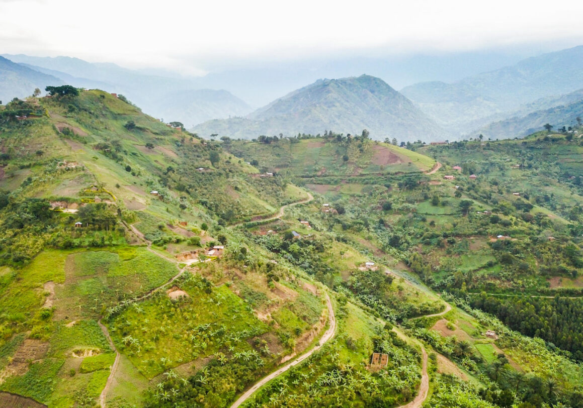 The effects of agrochemicals on the environment