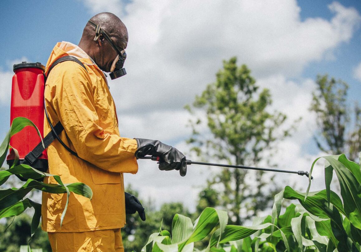 The unsafe use of agrochemicals by coffee farmers