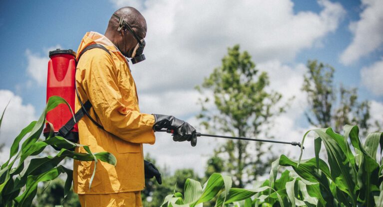 The unsafe use of agrochemicals by coffee farmers Thumbnail