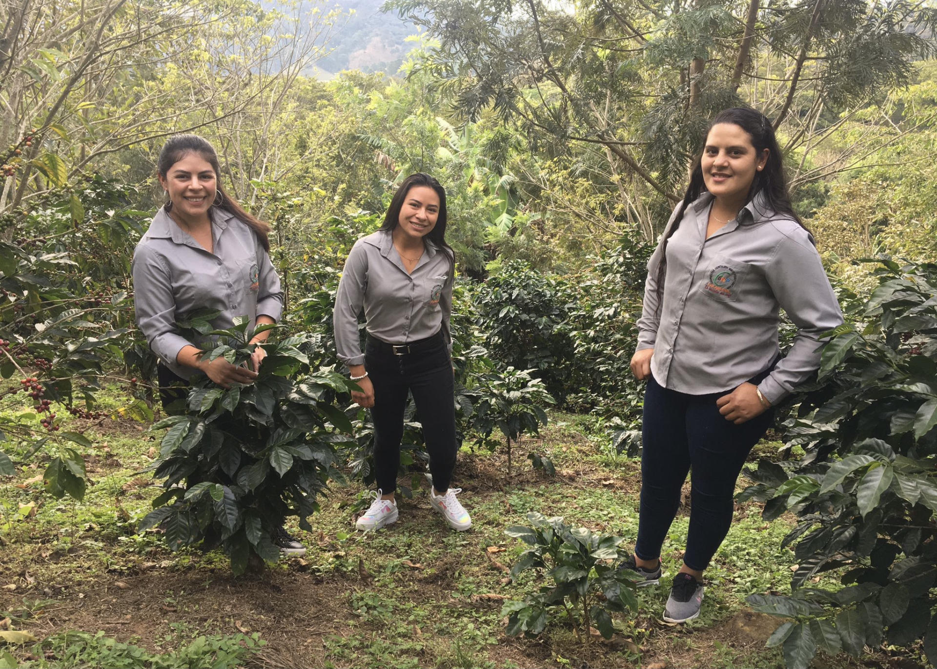 Women in coffee production