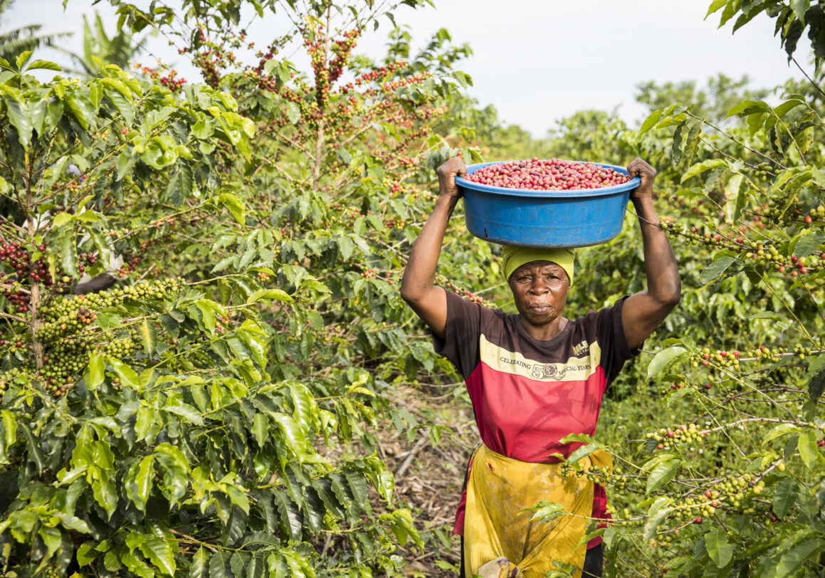 Closing The Gender Gap in Coffee Production