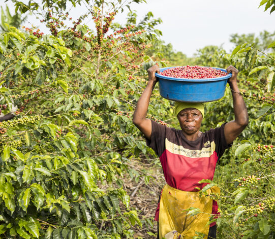 Closing The Gender Gap in Coffee Production