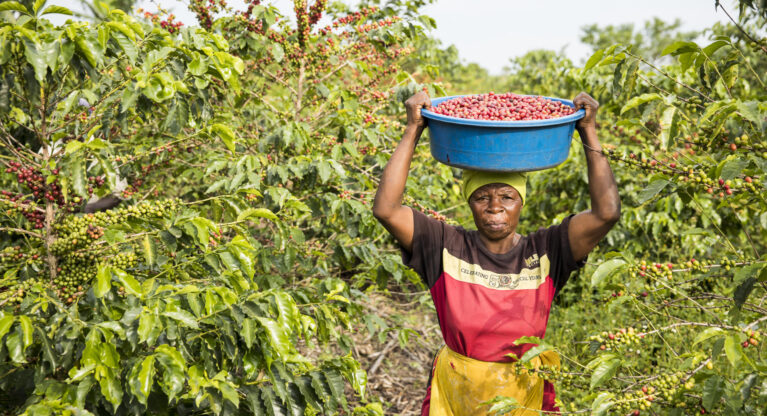 Closing The Gender Gap in Coffee Production Thumbnail