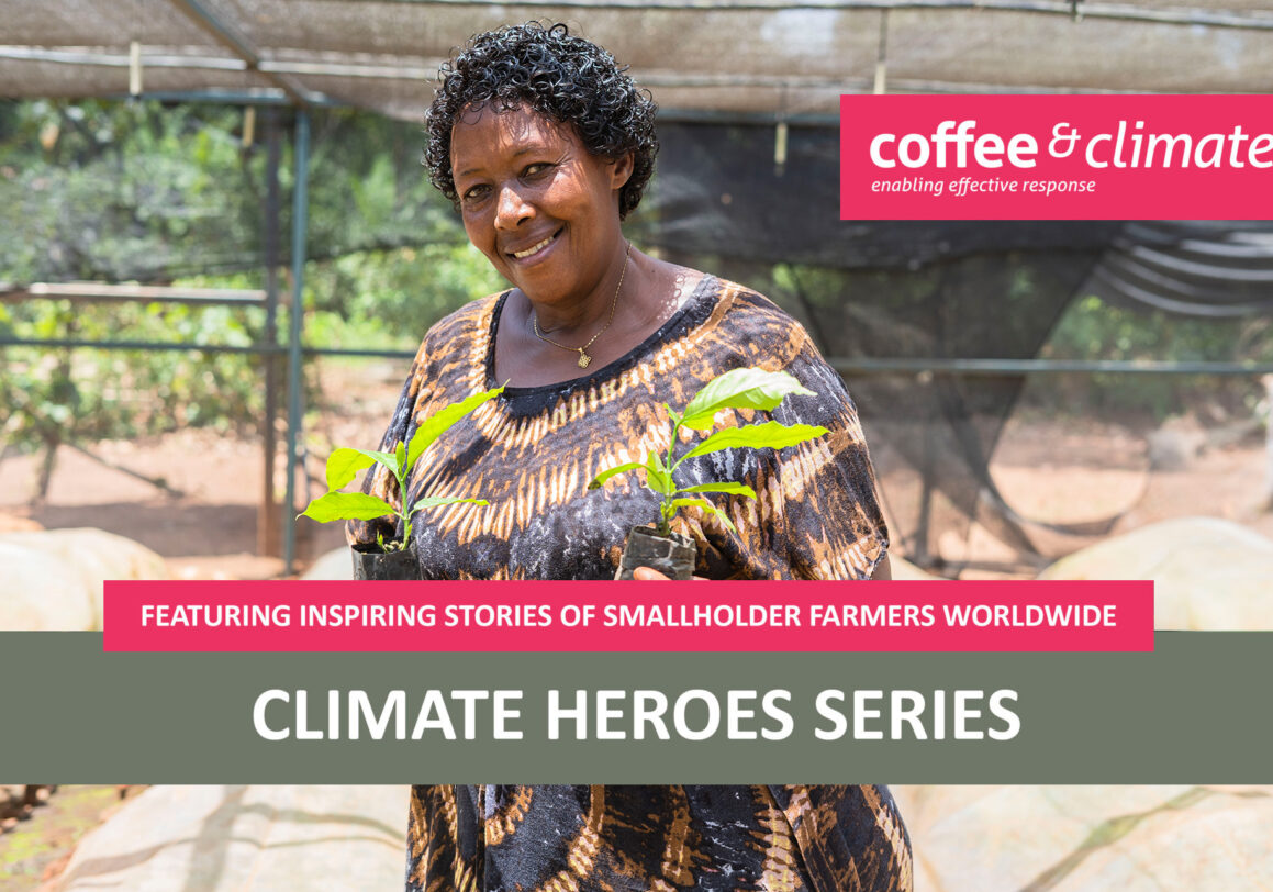 Climate Heroes: Betty’s Coffee Nursery Business