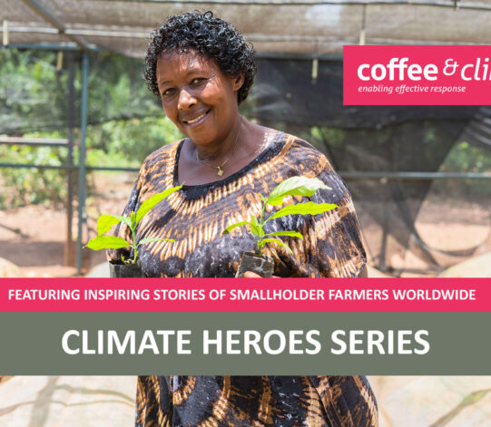 Climate Heroes: Betty’s Coffee Nursery Business