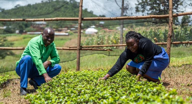 How Agroforestry Helps Farmers and Mitigates Climate Change Thumbnail