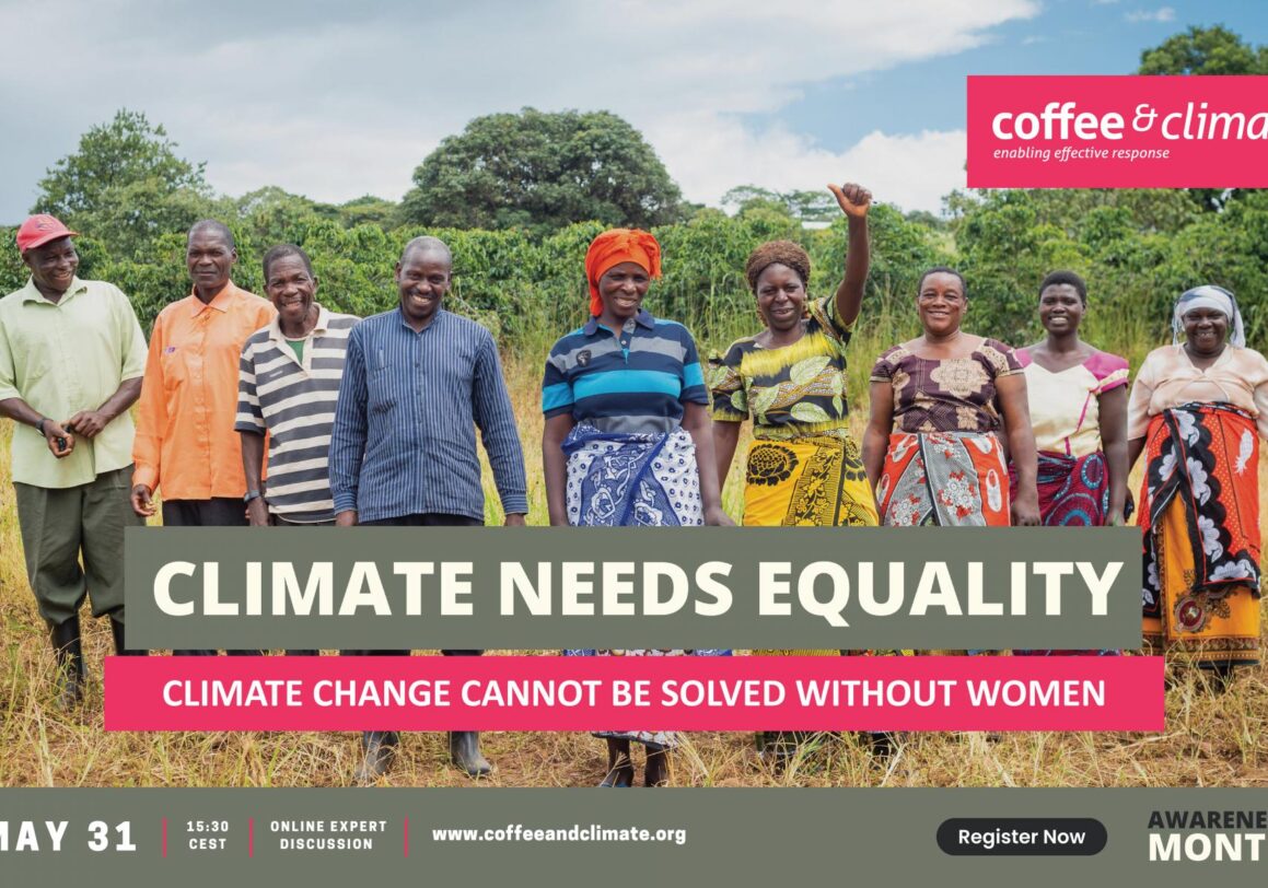 Online Expert Discussion: “Climate Needs Equality – Climate Change Cannot Be Solved Without Women”