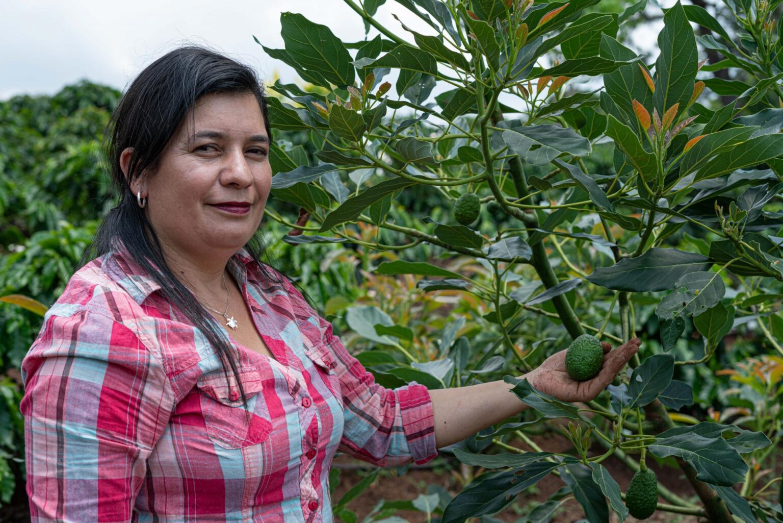 Women Smallholders Leading the Fight Against Climate Change ...