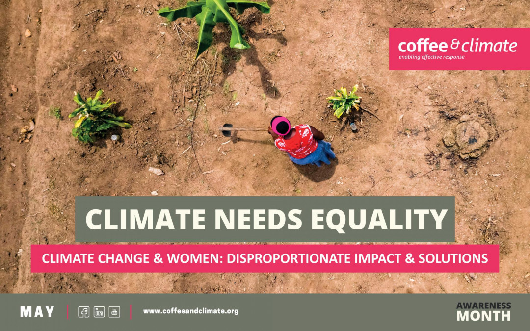 Climate Change and Women: Disproportionate Impact and Solutions