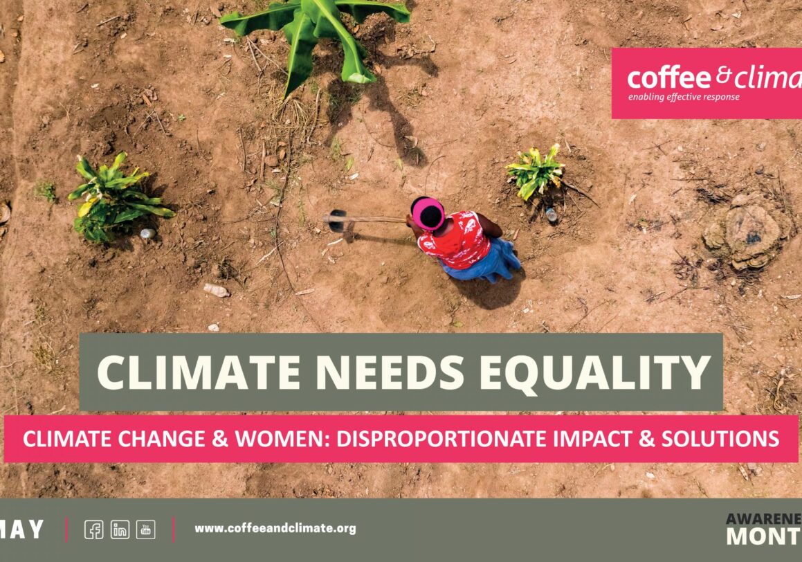Climate Change and Women: Disproportionate Impact and Solutions