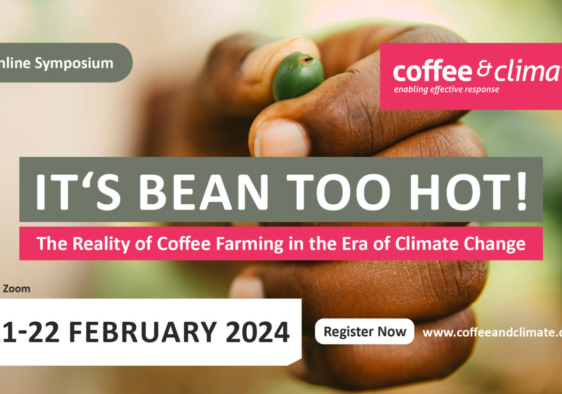 It’s Bean Too Hot: The Reality of Coffee Farming in the Era of Climate Change