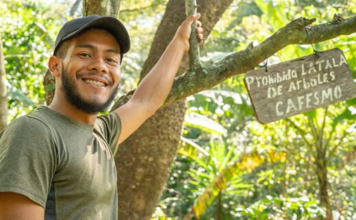 From Agroforestry to Climate-Smart Coffee Regions: Our Roadmap for 2024-2028
