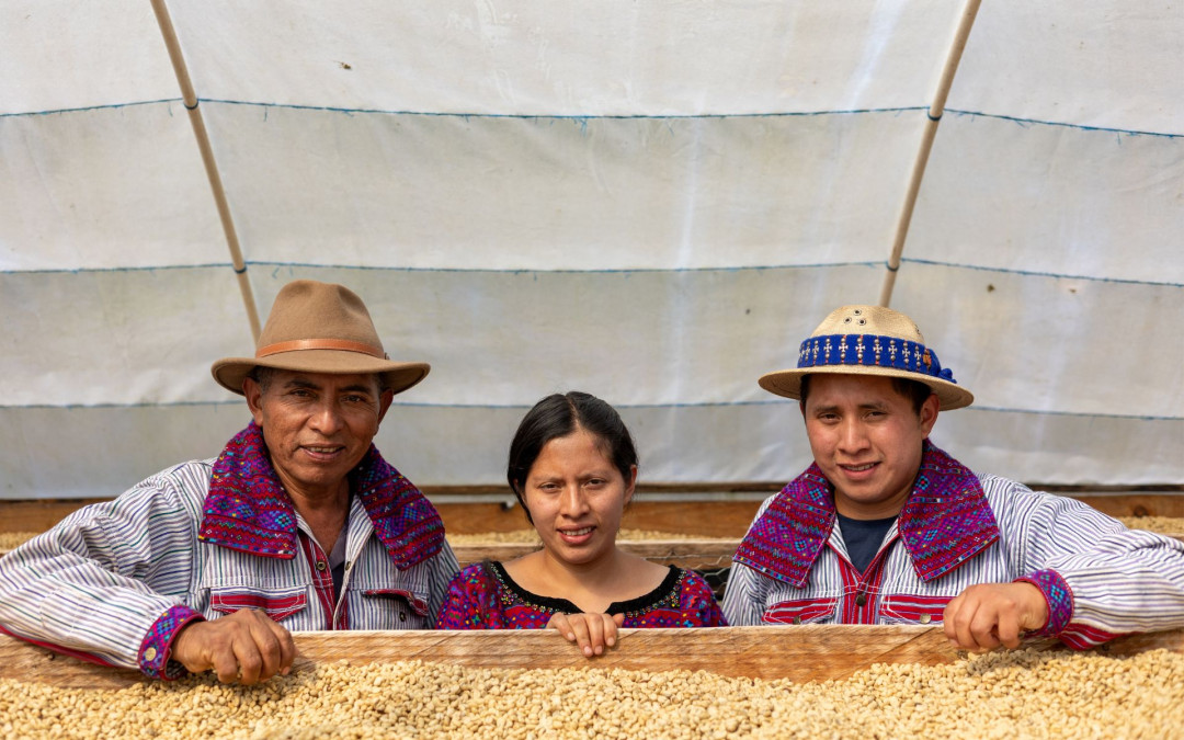 Guatemala Coffee Farmers