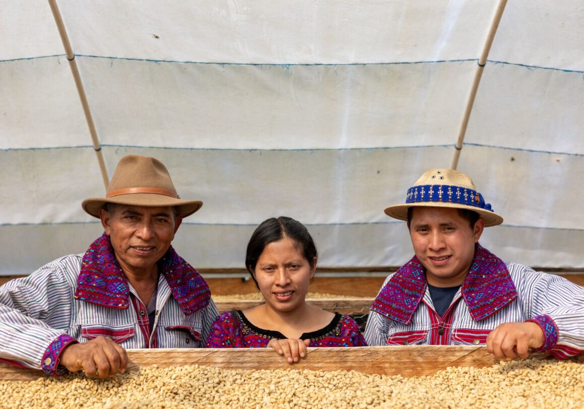 Resilience in Coffee Farming: Balancing Basic Needs and Economic Realities