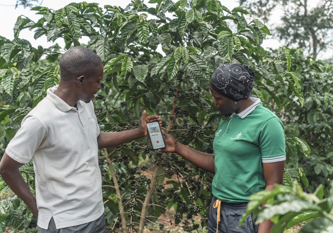 New Collaboration between coffee&climate and CIAT Brings Science-Based Solutions to Smallholder Coffee Farmers