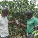 New Collaboration between coffee&climate and CIAT Brings Science-Based Solutions to Smallholder Coffee Farmers