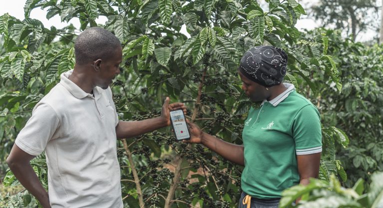 New Collaboration between coffee&climate and CIAT Brings Science-Based Solutions to Smallholder Coffee Farmers Thumbnail